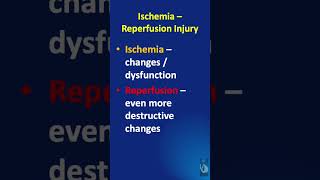 Shorts  117 Ischemia Reperfusion Injury  What is it and what tissues are affected [upl. by Akirdnas]