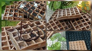 Easy crispy chocolate waffle recipe 🧇🍫Best homemade waffles [upl. by Gemperle]