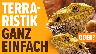 Terraristik ganz einfach oder  NORBERT ZAJAC  Zoo Zajac Duisburg [upl. by Osy]