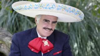 LAS MAÑANITAS VICENTE FERNANDEZ [upl. by Vada]