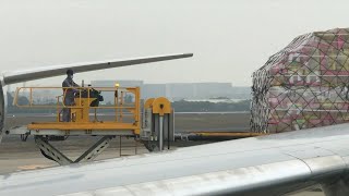 GLOBALink  Over 10000 tonnes of goods shipped through XiamenSao Paulo air cargo route [upl. by Skell]