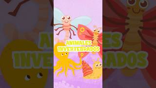 ¡Explora los Animales Invertebrados en 60 Segundos 🐙🦋🪲 Vídeo educativo para niñosvideoseducativos [upl. by Albertina]