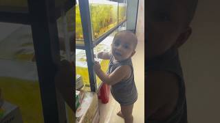 Little Thief in my aquarium project 😰😱 dhaka aquarium foryou guppyfish cute cutebaby shorts [upl. by Mourant32]