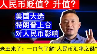 人民币汇率之谜：贬值升值？07美国选举，特朗普上台对于人民币汇率的影响｜老王的咸猪手 [upl. by Yup]