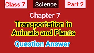 Class 7  Science  Part 2  Transportation in Animals and Plants QuestionandAnswer [upl. by Thomson253]