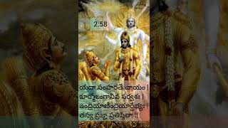 Bhagavat geeta in telugu🕉️258 slokam in telugubhagavadgitabhagavadgitaslokasinteluguslokalu [upl. by Eahsal115]