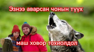 Эзнээ аварсан чонын түүх Гоё Түүхүүд Goy tuuhuud mongol heleer kino duu barimtat kino 2024 [upl. by Tavish]