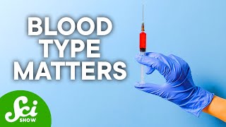 The Pros amp Cons of Your Blood Type [upl. by Zwiebel]