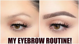 MY UPDATED BROW ROUTINE [upl. by Oirramaj]