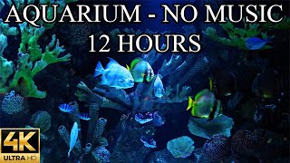 AQUARIUM 4K Coral Reef 4K Aquarium No Music No Ads  12 Hours  Aquarium Sounds For Sleeping [upl. by Inahet670]