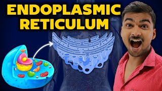 Complete Endoplasmic Reticulum Only In 6 Minutes  In Hindi [upl. by Alekahs]