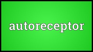 Autoreceptor Meaning [upl. by Izak607]