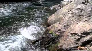 Prospecting For Gold on the Bear River at Colfax [upl. by Linskey]