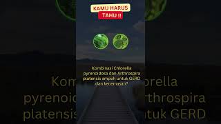 Chlorella pyrenoidosa dan Arthrospira platensis untuk GERD dan Kecemasan shorts asamlambung [upl. by Anhpad]