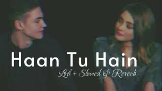 Haan Tu Hain  Slowed amp Reverb  Jannat  Emraan Hashmi KK  Lofi Mix [upl. by Peti]