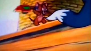 Tom amp Jerry Full Episodes IN Bangla Tom amp Jerry Cartoon HD [upl. by Lucey996]