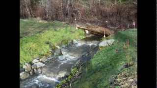 Fish Trap Creek Salmon Ladder [upl. by Nahej404]