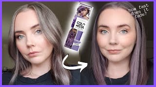 Loreal Colorista Purple 1 Month Later  How Fast Does it Fade Color Payoff [upl. by Sitoel]