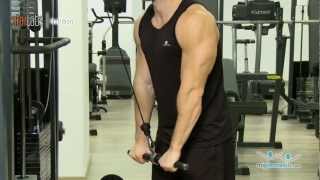 Extension de triceps con polea alta [upl. by Serene]