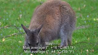 Seasons in Australia Temperature and Climate by Month [upl. by Lilas]