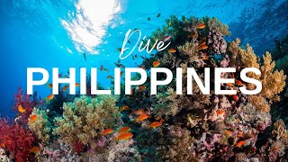 Scuba Diving in Tubbataha Reef Philippines [upl. by Hesper]