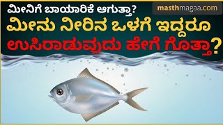 ಇದು ದೇವರ ಸೃಷ್ಟಿಯ ವಿಚಿತ್ರ ರಹಸ್ಯ  How does fish breathe  Does fish drink water [upl. by Faubion50]