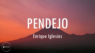 Enrique Iglesias  PENDEJO English amp Spanish Lyrics [upl. by Malone817]