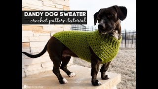 Dandy Dog Sweater Companion Video Free Crochet Pattern [upl. by Gromme273]