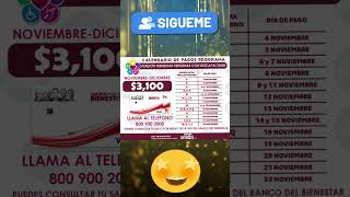 📌🩼Este es el Calendario para depósitos Beneficiarios de Pensión Bienestar Personas con Discapacidad [upl. by Yzzo942]