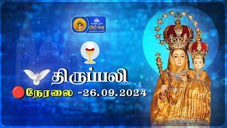 🔴 LIVE  Holy Mass in Tamil  26th September 2024  Annai Vailankanni Shrine  Besant Nagar Annai [upl. by Walrath]