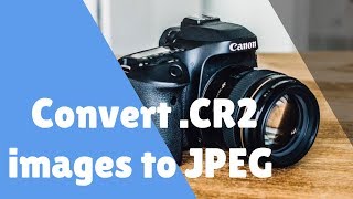 How to Change CR2 File to JPEG Format in Computer Without Any Converter [upl. by Namdor]