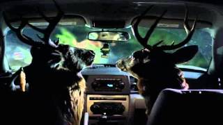 Grand Sport Auto Body Commercial Talking Deer [upl. by Aivekal]