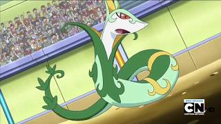 Pokemon Battle  Serperior vs Darmanitan [upl. by Elpmet603]