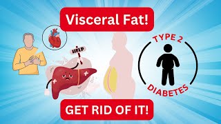 Visceral Fat What It Is Why It’s Dangerous and How to Get Rid of It [upl. by Coridon353]