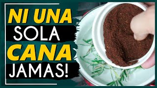 ¡Un Secreto Increíble Tapa las Canas de Forma Natural con Café y Romeo [upl. by Ostap985]