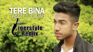 Tere Bina Tigerstyle Remix  TaZzZ Ft Elijah  Official Video [upl. by Ettevad]