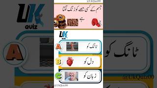 Urdu quiz questions quizquestions urduquiz video [upl. by Aisel]