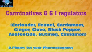 Carminatives and G I regulators  Pharmacognosy  DPharm 1st year [upl. by Letniuq]