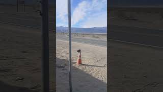 Death Valley National Park sandunes deathvalley nationalpark [upl. by Anaek295]