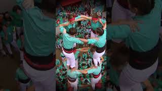 Els Castellers de Vilafranca guanyen el Concurs de Castells 2024 [upl. by Ehtylb]