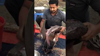 amazing Katol fish fishingvideo fishcuting fish fishcooking youtubeshorts fishing fishcutting [upl. by Malamud593]