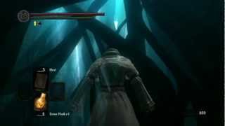 Dark Souls Ash Lake scenic tour [upl. by Friederike]