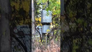 Nassau county EOWS 1212 jailbreak siren on Carman Ave Salisbury NY Inactive [upl. by Uy]