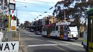 The Kooyong Tram Square [upl. by Harutak]