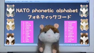 NATO phonetic alphabet ／ フォネティックコード ／ ミミクリーペット ＃アマチュア無線 ＃航空管制 [upl. by Yrotciv290]