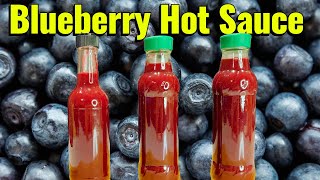 LactoFermented Black Pepper amp Blueberry Hot Sauce  Easy home made fermented hot sauce recipe [upl. by Lein427]