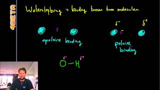 Scheikunde  Waterstofbruggen [upl. by Weissman]