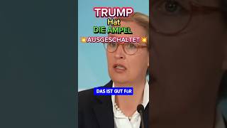 💥DER WEG IST FREI💥❌ afd politik trump ampel scholz weidel ampelaus cdu spd elonmusk usa [upl. by Gaskill]