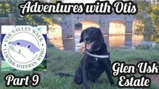 Usk Valley Walk with Otis  Part 9  Crickhowell to Glan Usk Estate [upl. by Orsini]