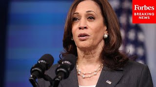 SHOCK MOMENT GOP Lawmaker Claims That Kamala Harris Was A DEI Hire [upl. by Assiroc]